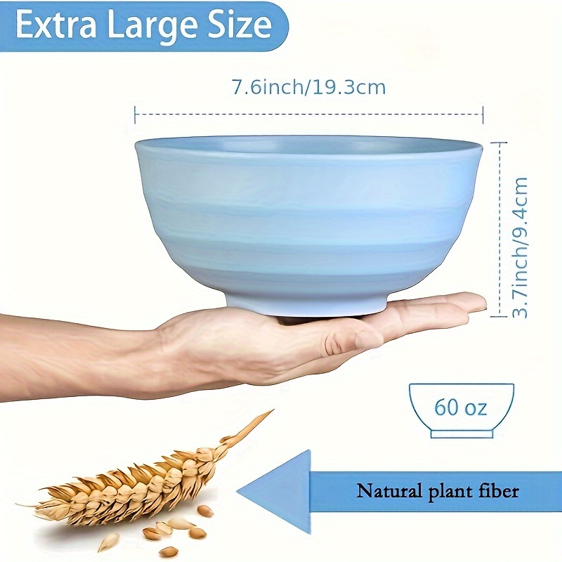 4pcs Noodles & Salad Bowls for Home & Restaurant