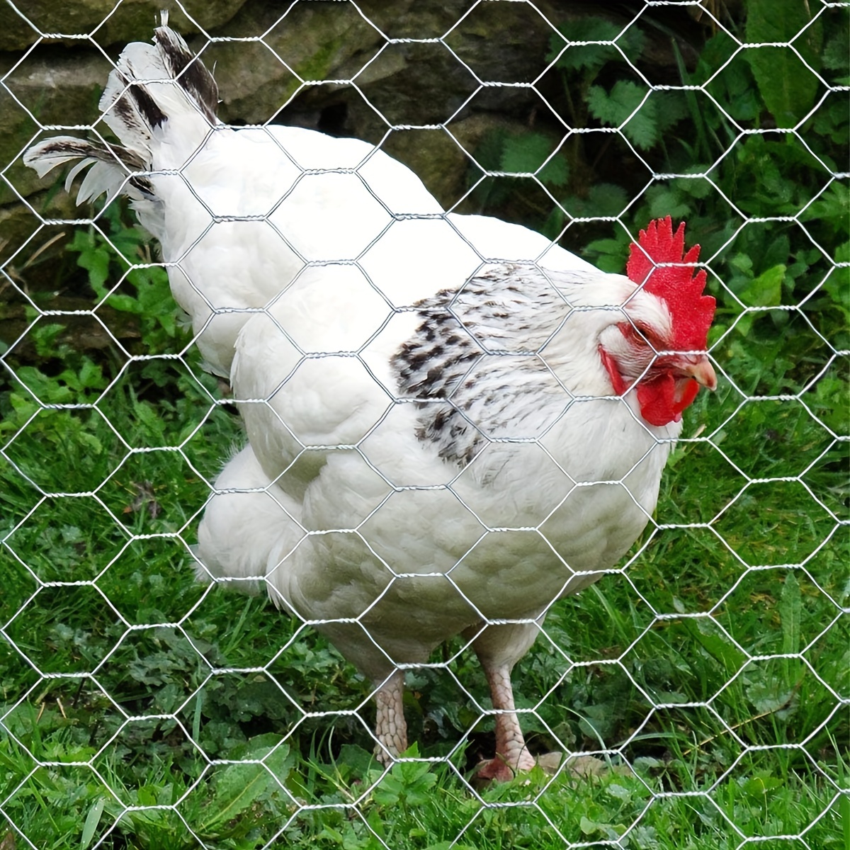 Chicken Wire Fencing Poultry Wire Mesh Fence Yard Garden Crafting Decor 