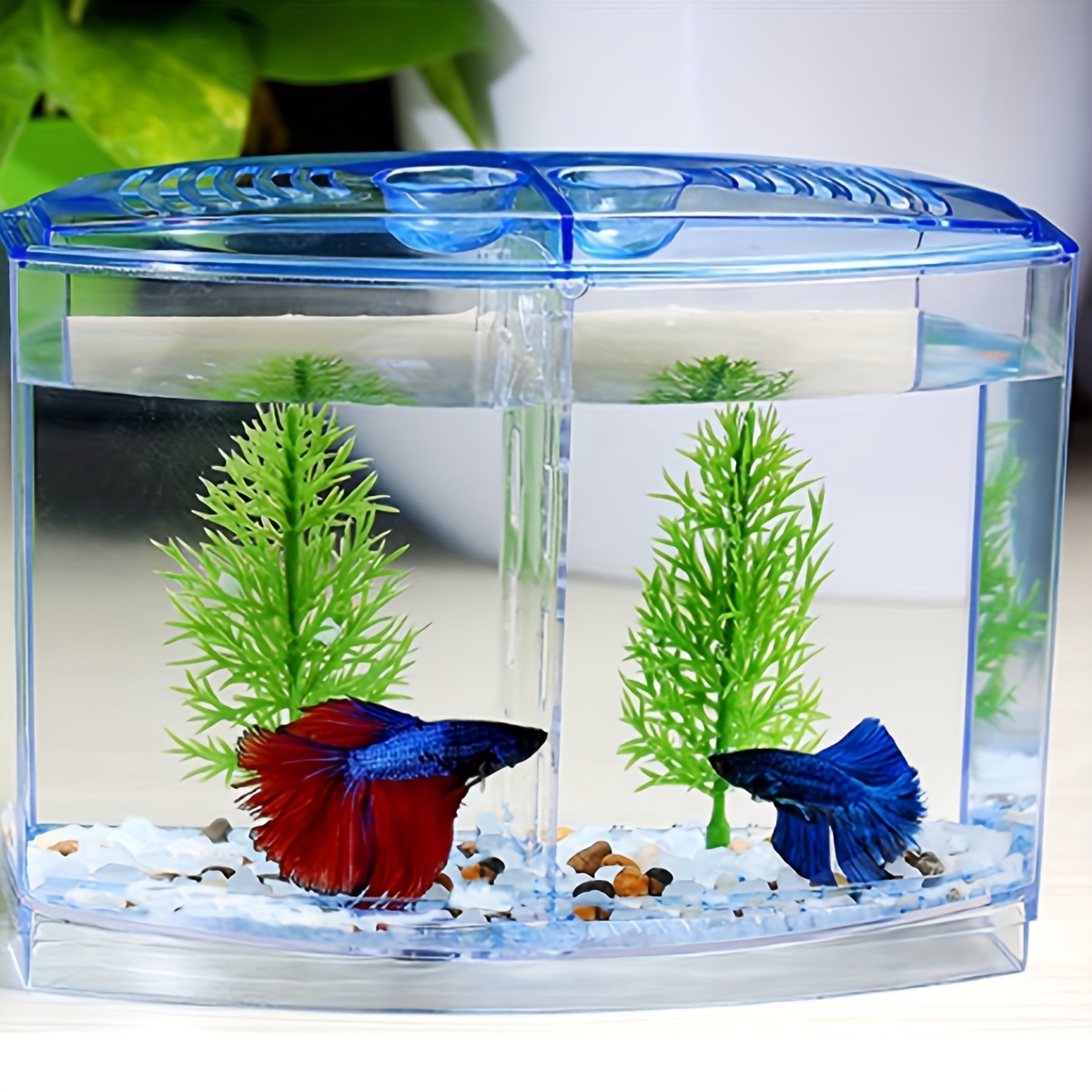 Small Mini Betta Fish Tank Mini Betta Bowl Kit Small Aquarium With Divider  Goldfish Fishbowl