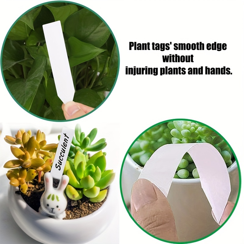 Etiquetas Plantas Etiquetas De Pizarra Para Plantas - 10 Unidades Bolígrafo De Talco Etiquetas Para Identificar Plantas