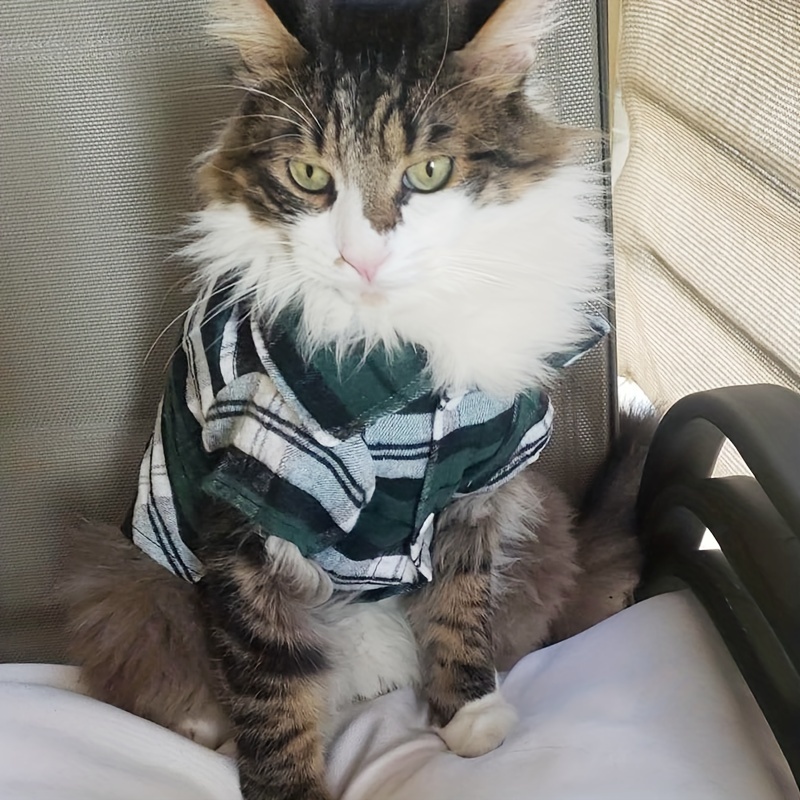 Flannel shirt shop for cat