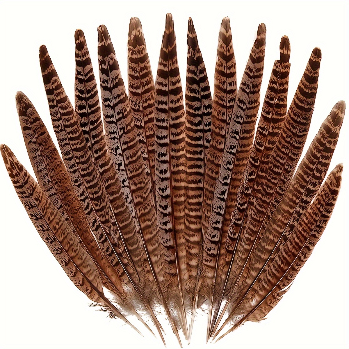 Natural Pheasant Feathers Spotted Feathers Turkey Feathers 4 - Temu