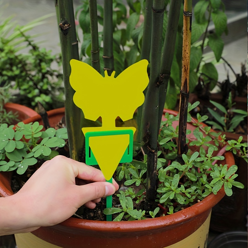 50pcs Sticky Traps for Pest Control Indoors & Outdoors