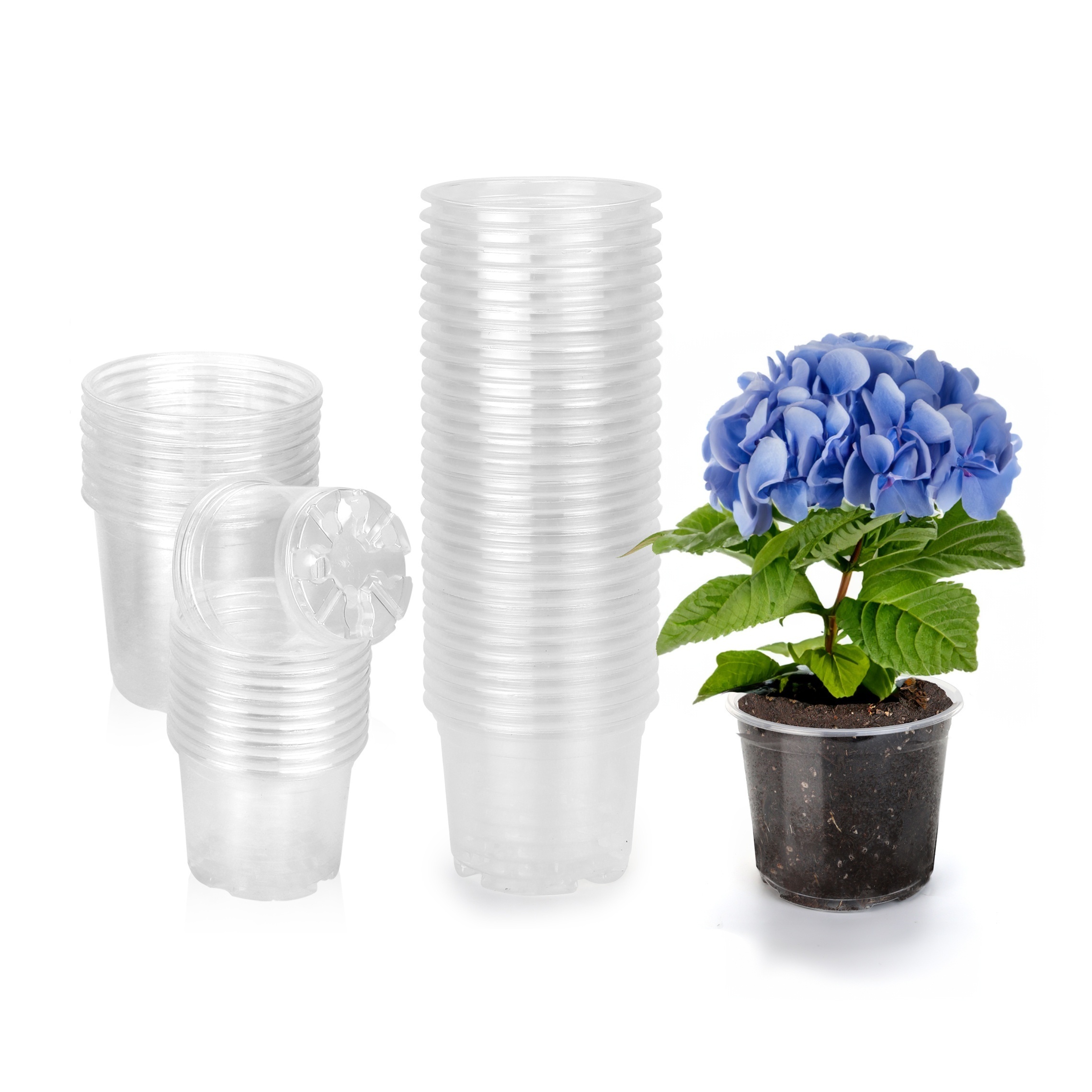 10 pièces Pot Fleurs Transparents Plastique Pot de Fleur，3.5