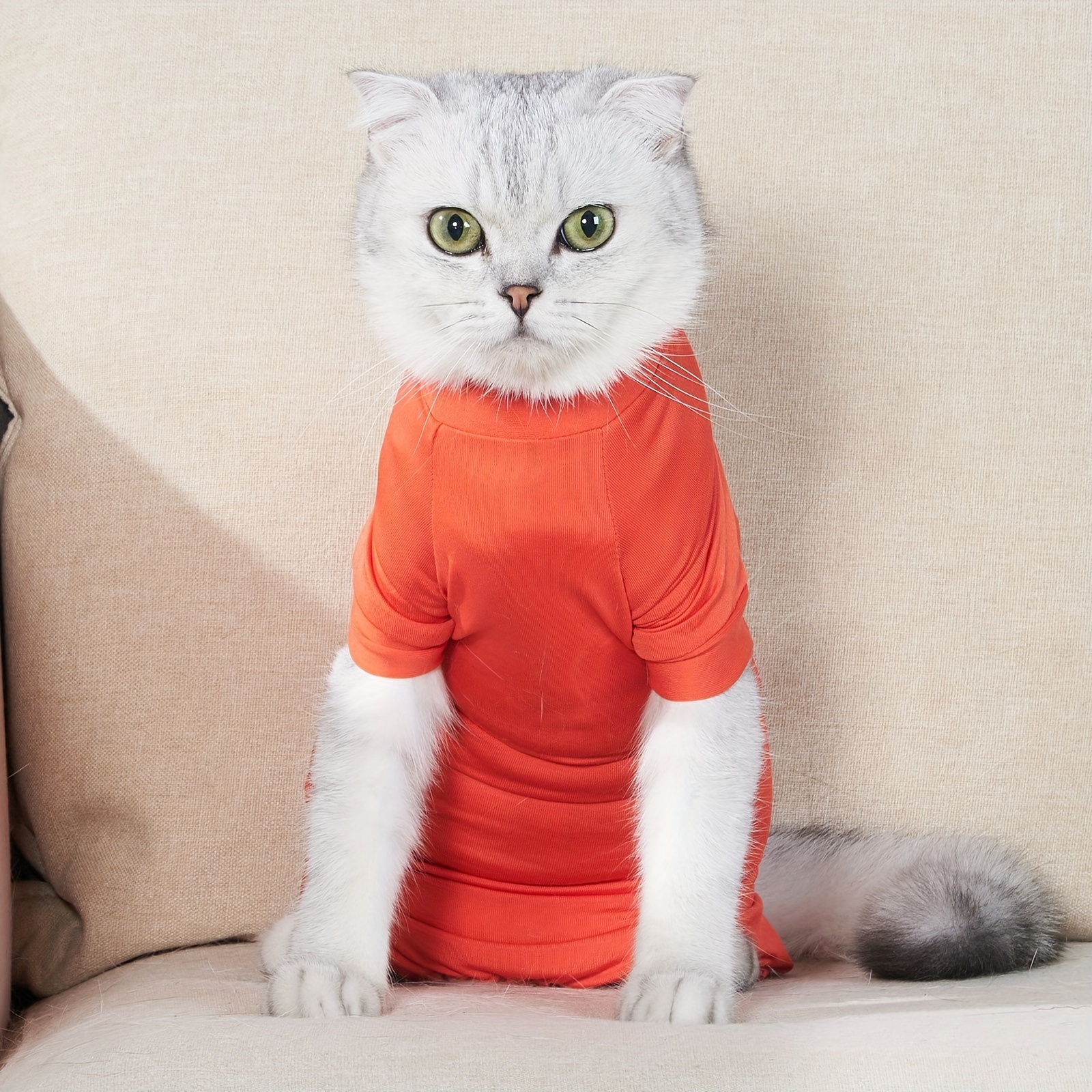 Post op cat outlet t shirt