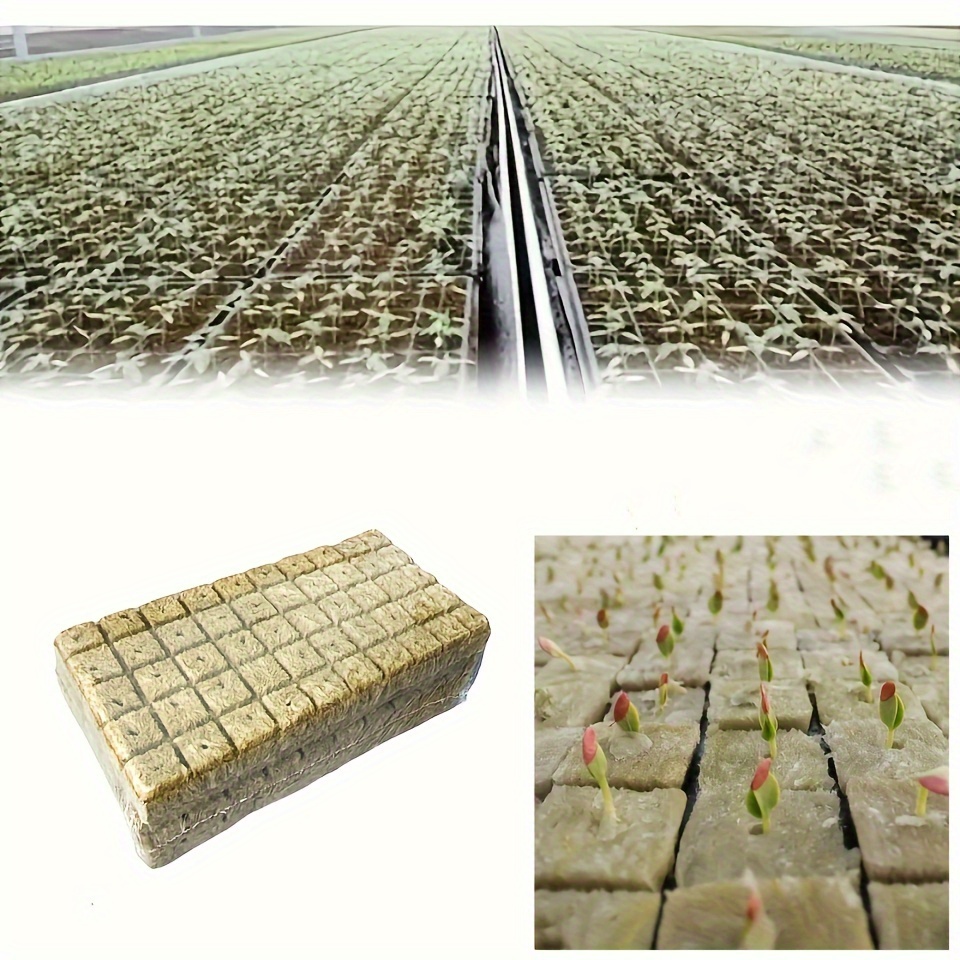 Mini Rock Wool Cubes Ideal For Plant Propagation Soilless - Temu