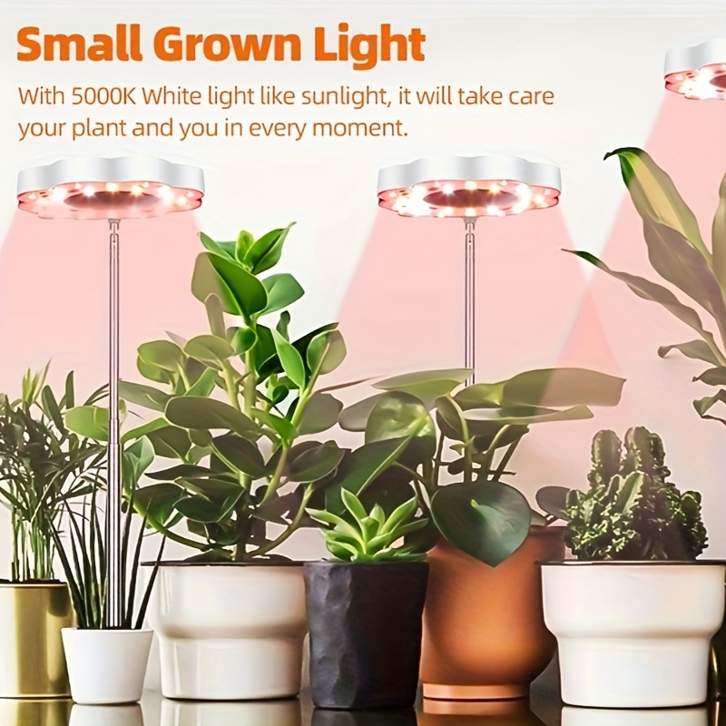 Lampade per piante: tutto quello che serve per la coltivazione indoor