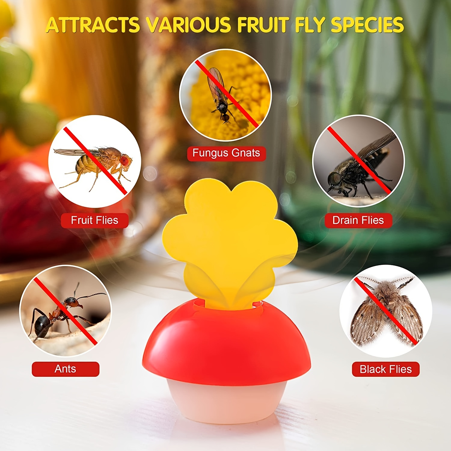 Fruit Fly Sticky Trap, Insect Catcher, Indoor Fly Trap, Indoor Flea Trap,  For Indoor And Outdoor, Fungus Gnat Killer For Houseplant, Mosquitos, Flying  Insect, White Flies, Pest Control - Temu Germany