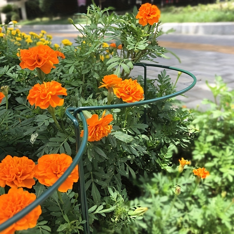 Climbing Vine Support Crab Claw Orchid Stand Plant Support Temu