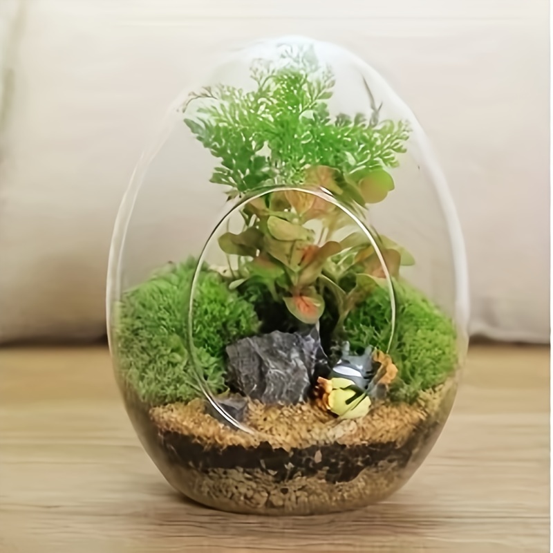 Creativo muschio paesaggio vaso di vetro contenitore per piante