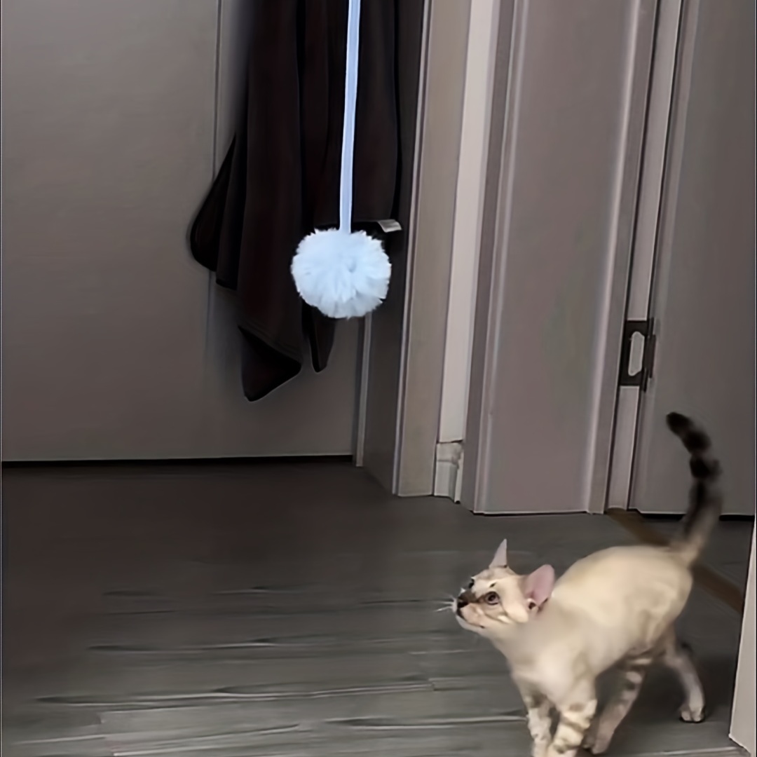 Interactive Cat Toy With Hanging Bell Ball And Suction Cup Hooks - Perfect  For Self Play And Scratching - Temu