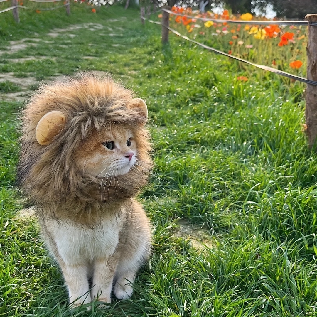 1pc Cute Lion Cat Hat, Kitten Lion Wig, Pet Head Cover For Cat Dress Up  Clothing Accessories