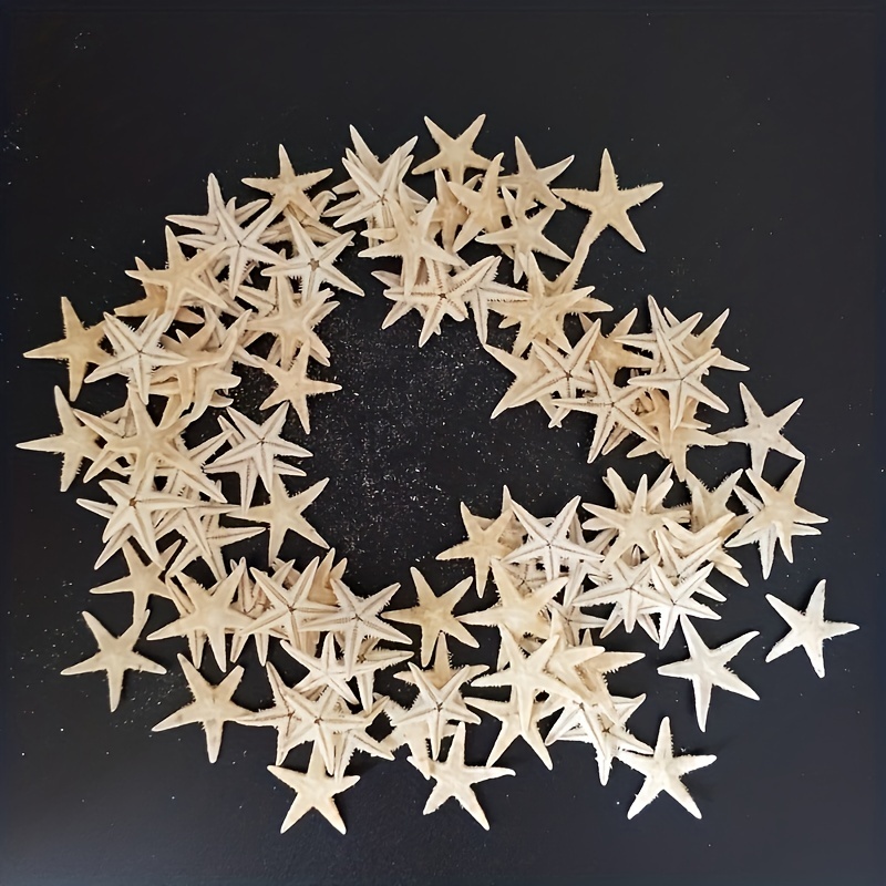 5-100Pcs Mini Natural Sea Stars Starfish Craft Decoration Beach Cottage  Weddings