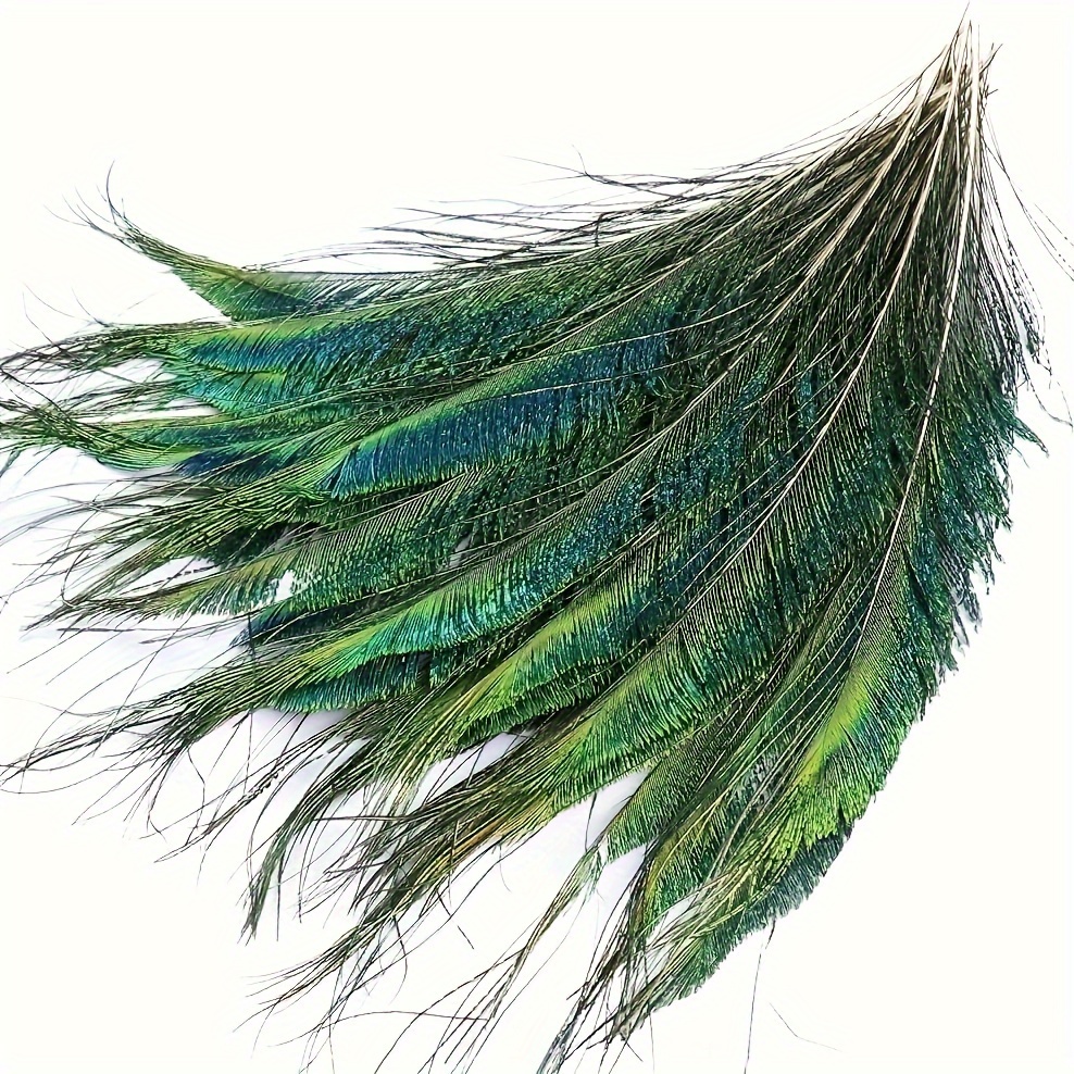 left And Right)of Peacock Feathers Peacock Sword Feathers / - Temu