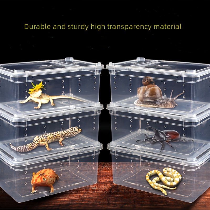 Jumping Spider Clear Box Reptile Breeding Box with Dropper Tongs - Acrylic  Reptile Cage Spider Terrarium Mini Carrier Feeding Container Enclosure