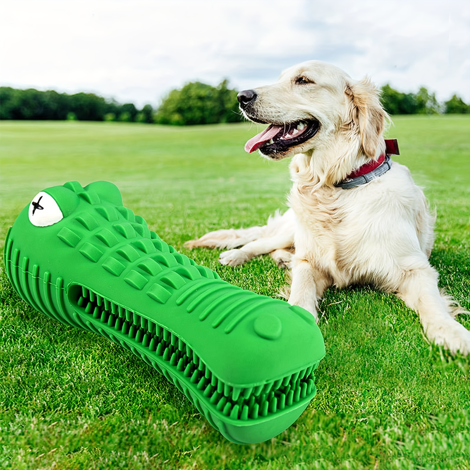 Teeth-cleaning Squeaky Interactive Dog Chew Toy