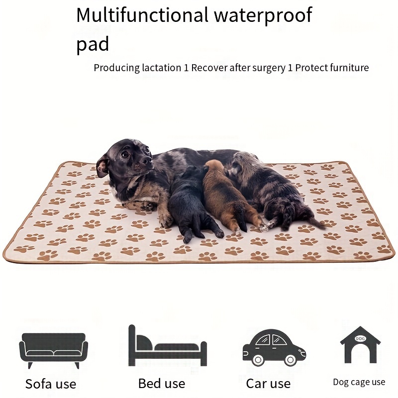 Tapis Absorbant pour chien lit pour chat Pipi Reutilisable Lavable petite  grand