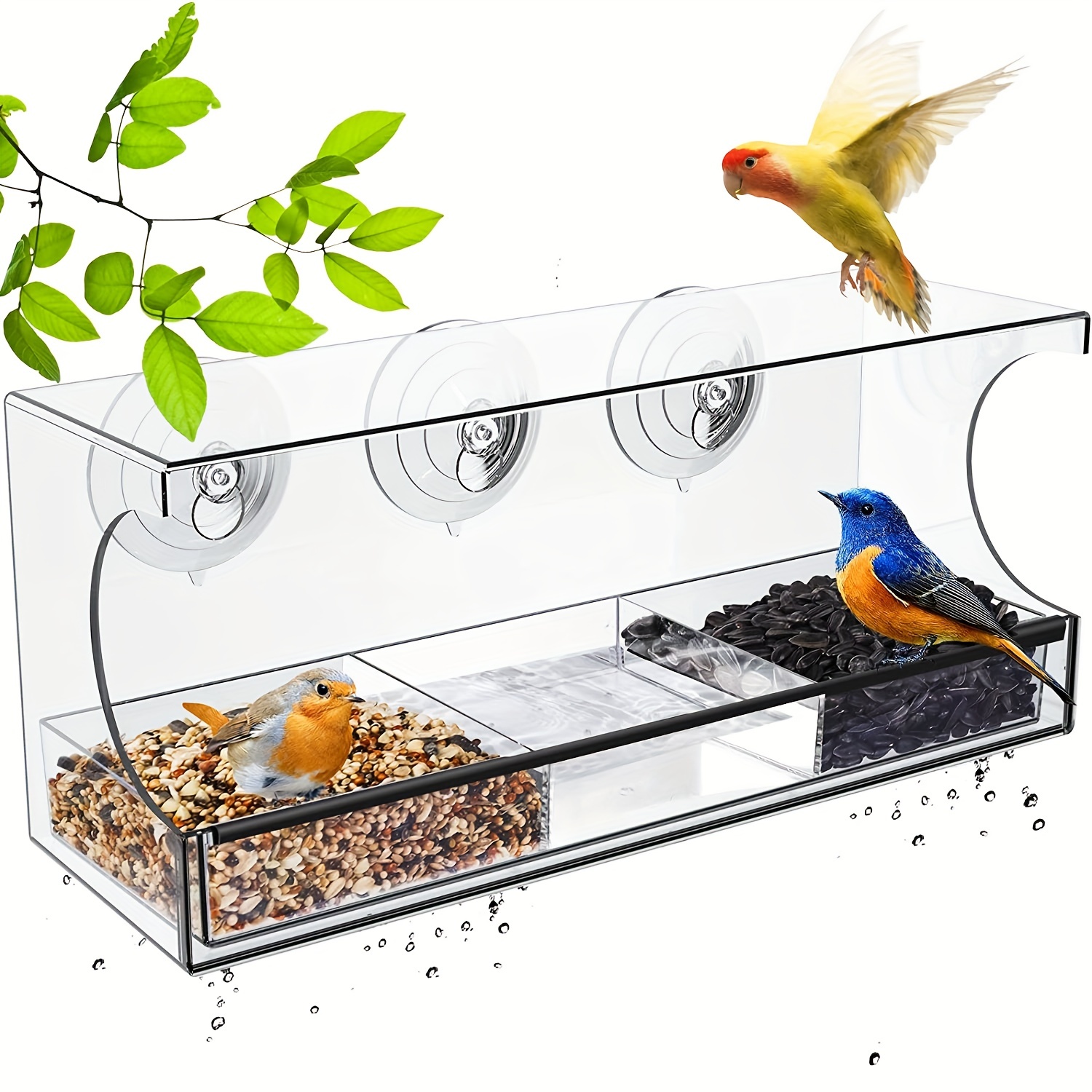 Fenêtre transparente mangeoire à oiseaux, ventouse, fenêtre