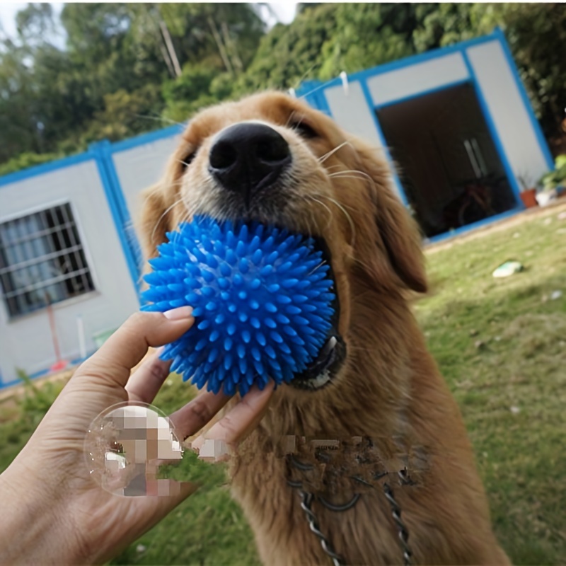 1/3/6 Piezas Juguete Interactivo Masticar Bolas Perros: - Temu