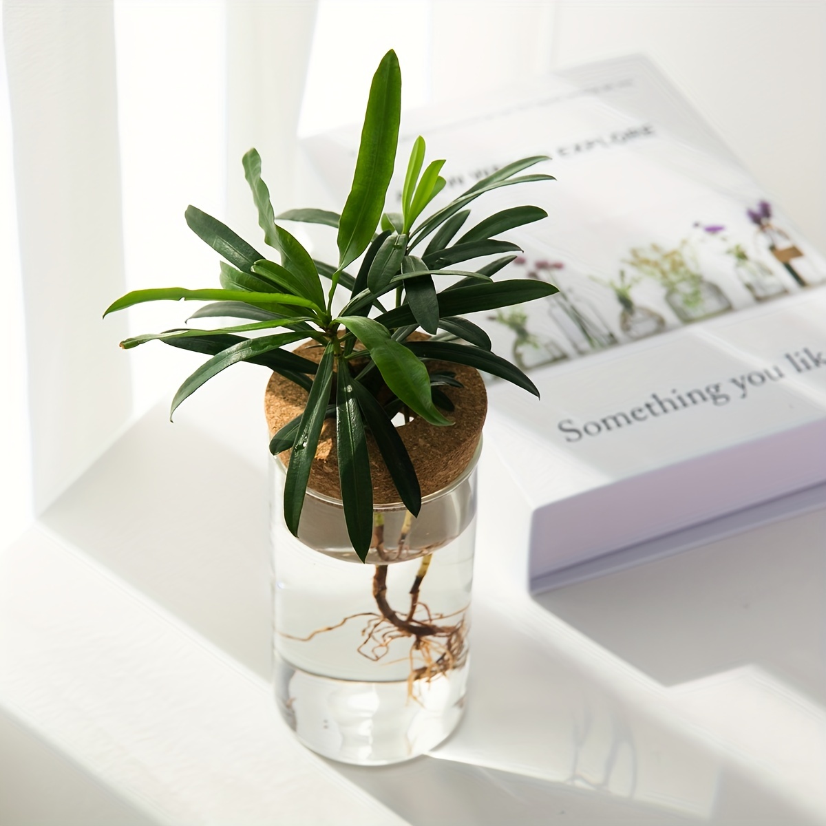 1pc, Hydroponics Plants Desktop Glass Planter Vase For Home Decoration, Plant Propagation Station Bud Vase, Desktop Hydroponics Plant Vases For Living Room Table Decoration Kitchen Office