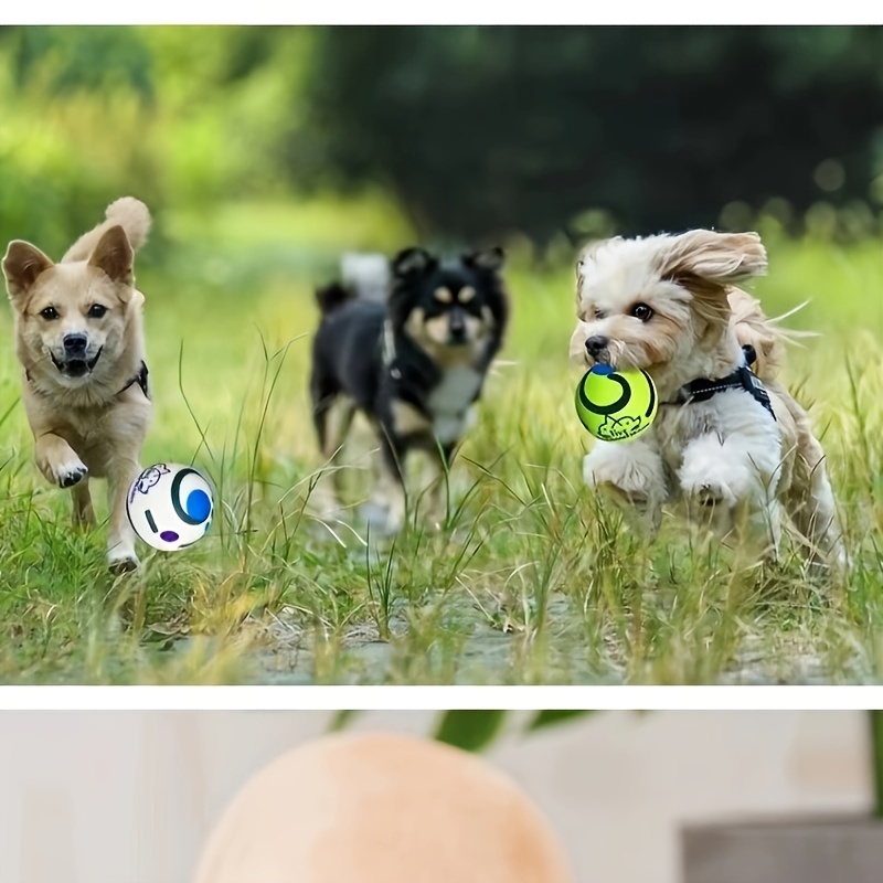 Dog Balls, Durable Bite Resistant Dog Chew Toy Ball for Breed Dogs