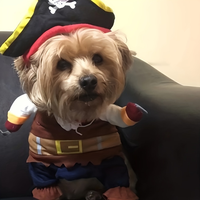 Toddler Kid Boys Boxer Briefs Cute Cartoon Pirate Dog - Temu