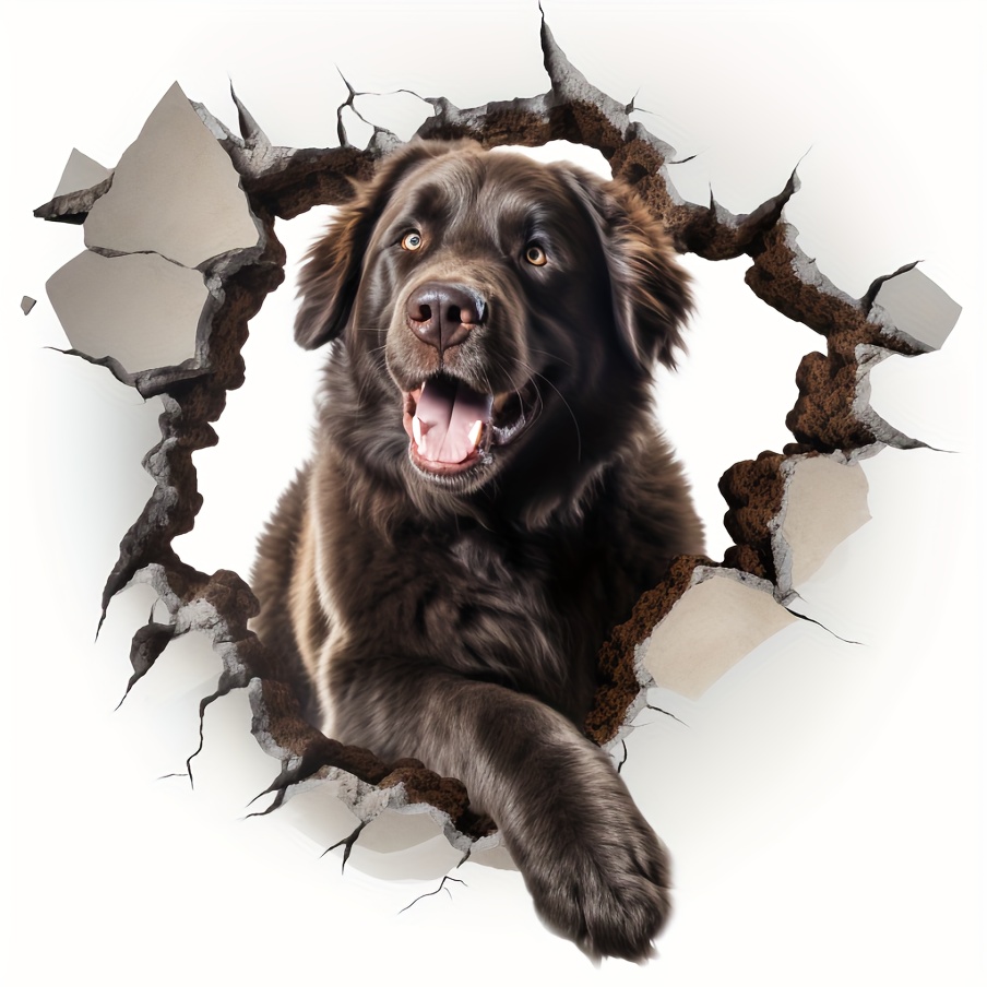 Newfoundland 2024 dog merchandise