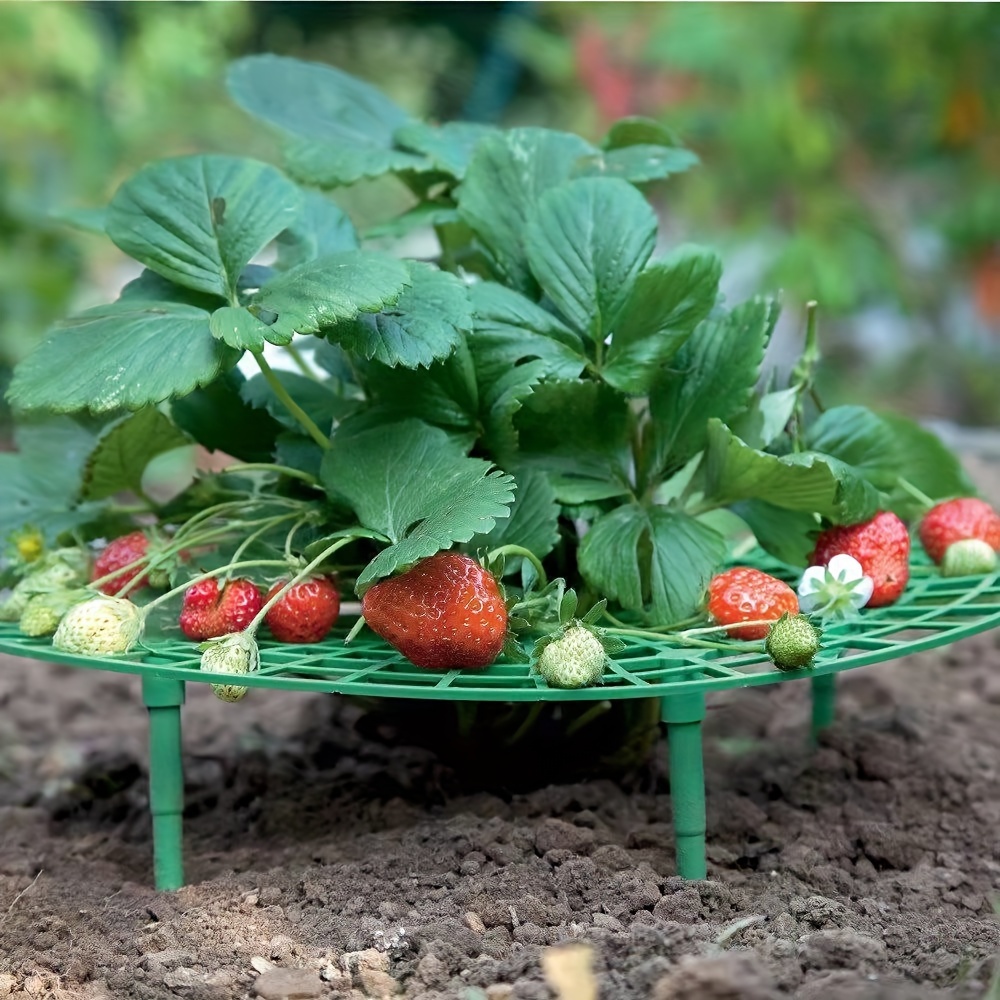 

10pcs, Strawberry Support Stand, Round Green Coated Grid, Garden Plant Flower Fruit Growing Rack, 11.8 Inches Diameter Durable Outdoor Berry Holder, Elevated Protector For Optimal Harvest