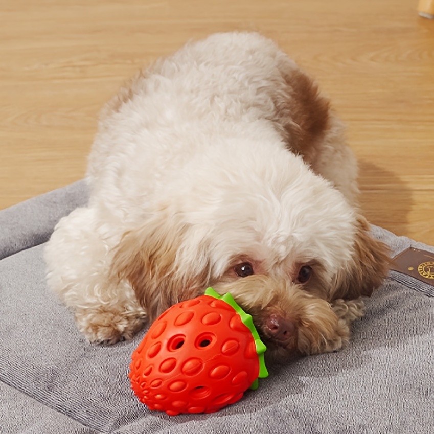Strawberry Treat Toy Rubber Dog Chew Toys Treat Food Dispensing Dog Toy for  Pets
