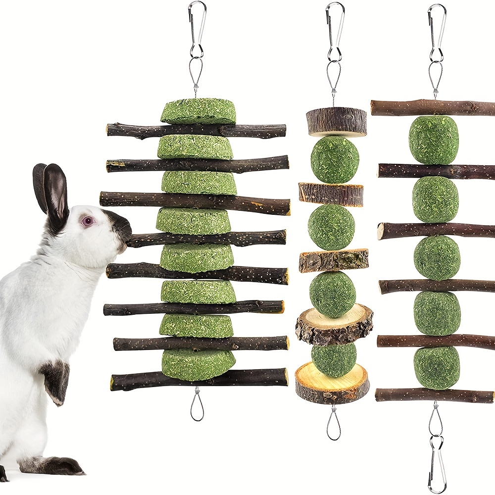 Mignon naturel lapins en bois jouets pin haltères monocycle cloche rouleau  jouets à mâcher pour cochons