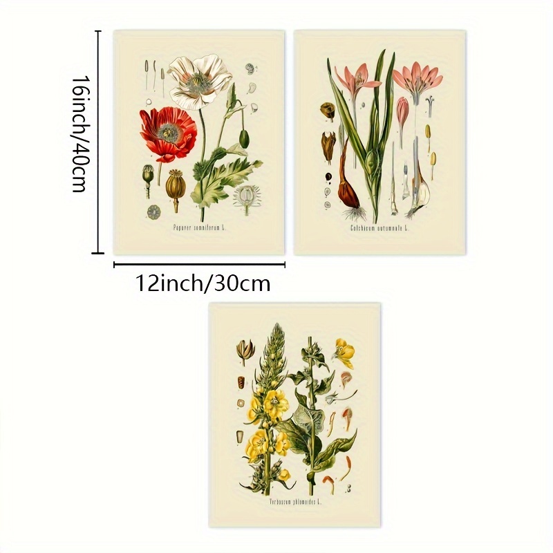 3/4個のアンティークフランスの植物イラストプリント ビンテージ植物ポスター 森の野花キノコの壁アートキャンバスペインテ - Temu Japan