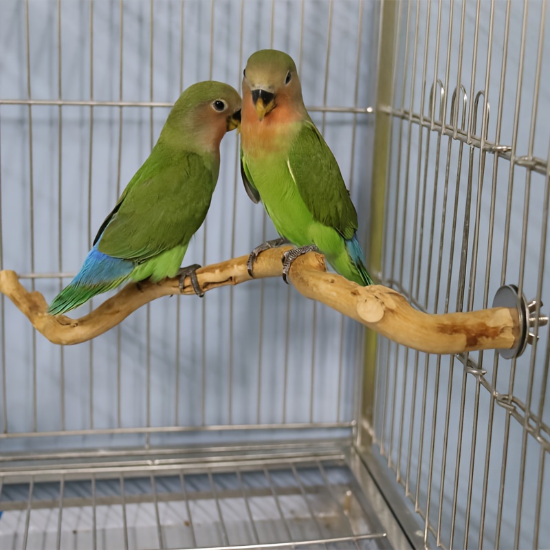 Perroquet bâton en bois plate-forme cage à oiseaux perchoir sable pour  perruche