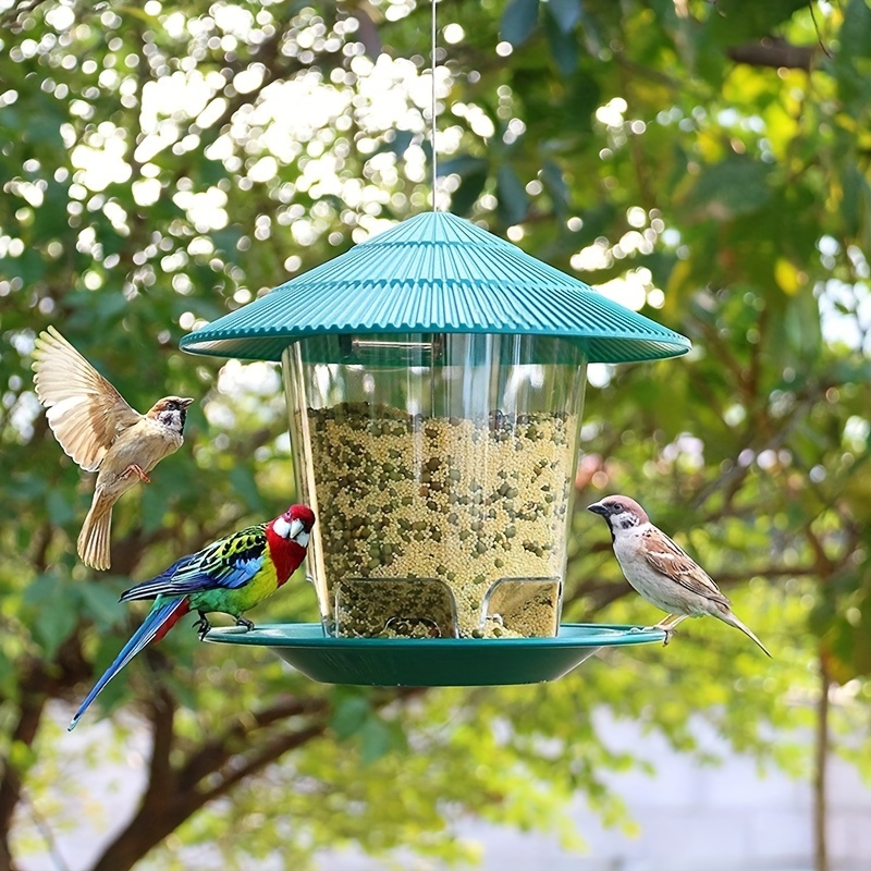 Mangeoires d'extérieur pour oiseaux, graines d'oiseaux sauvages