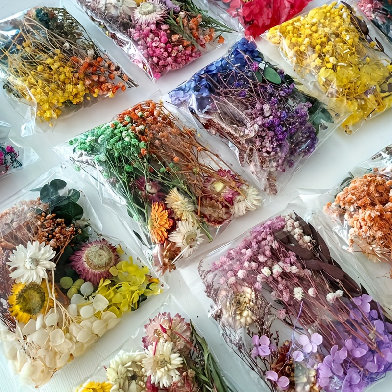 Dried Flowers for Resin Natural Dried Pressed Flowers for DIY Jewelry  Molds, Art Crafts Scrapbooking, Candle, Soap Making, Nails Décor