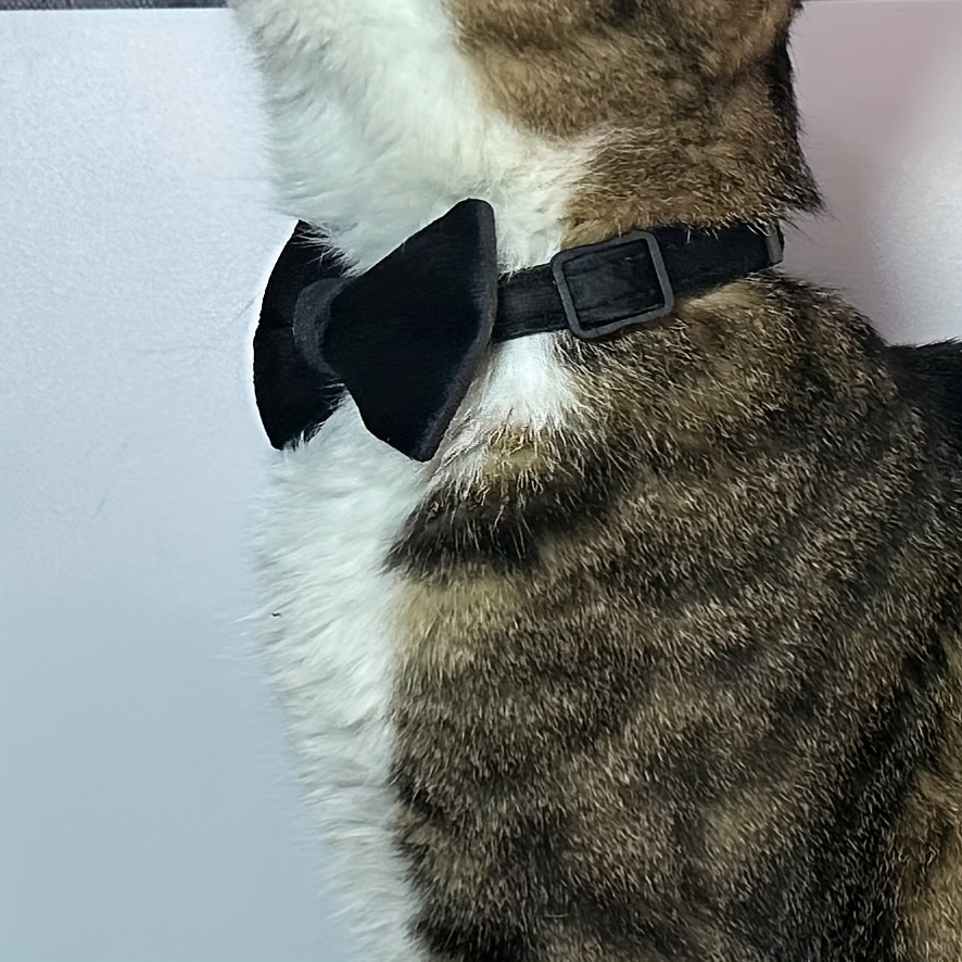 Bow tie cat collar with cheap bell