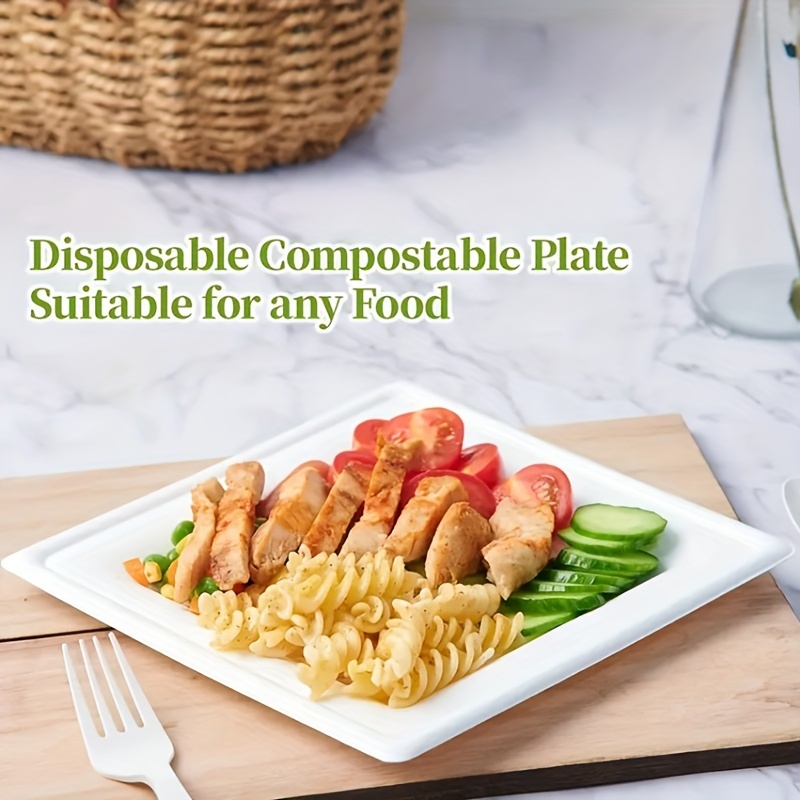 Paper Plates Disposable Biodegradable Sugarcane Dinner - Temu