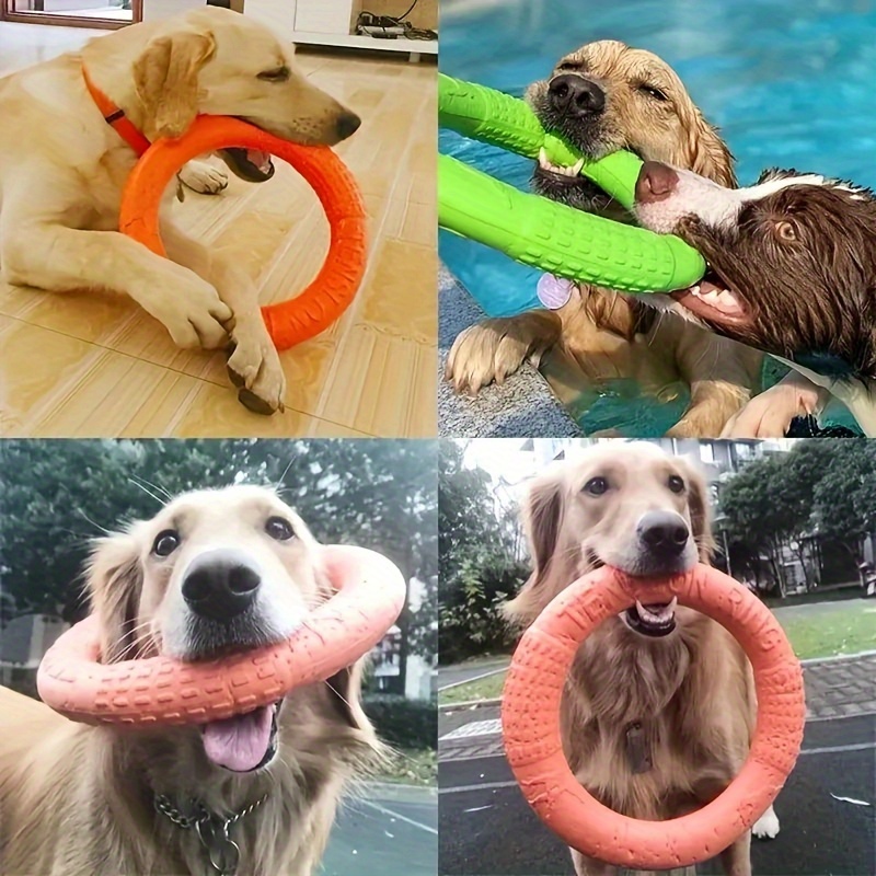 Dog Training Toys Outdoor Floating Flying Dog Disc - Temu