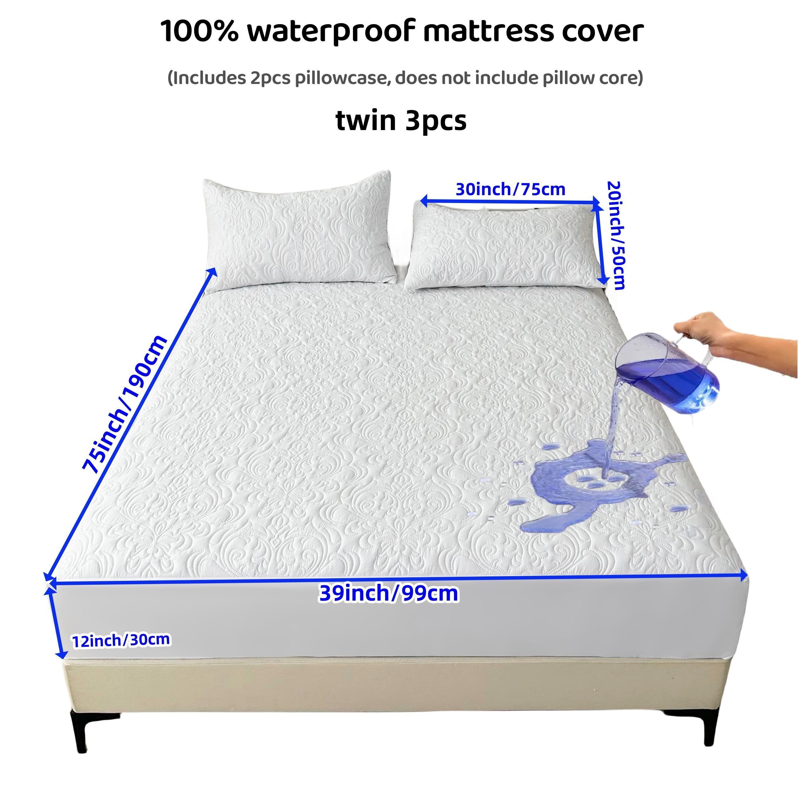 Mattress Cover and 2PCS Cushion Set