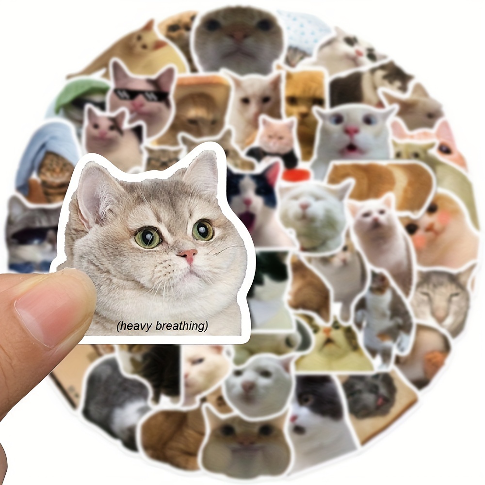  50Pcs Cat Stickers Pack Cute Cool Kawaii Funny for Cat Lovers  Teens Kids Water Bottle Cars Adults Laptop : Electronics