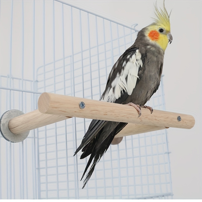Stainless Steel Parrot Bird Cage Hanging Cage Indoor Outdoor - Temu