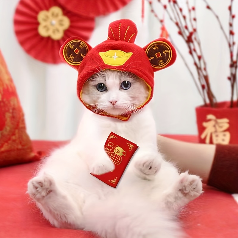 Cappello di compleanno per cani in stile coreano gatto con berretto da torta  di compleanno candela regalo Design festa di compleanno Costume copricapo  accessori per bambini - AliExpress