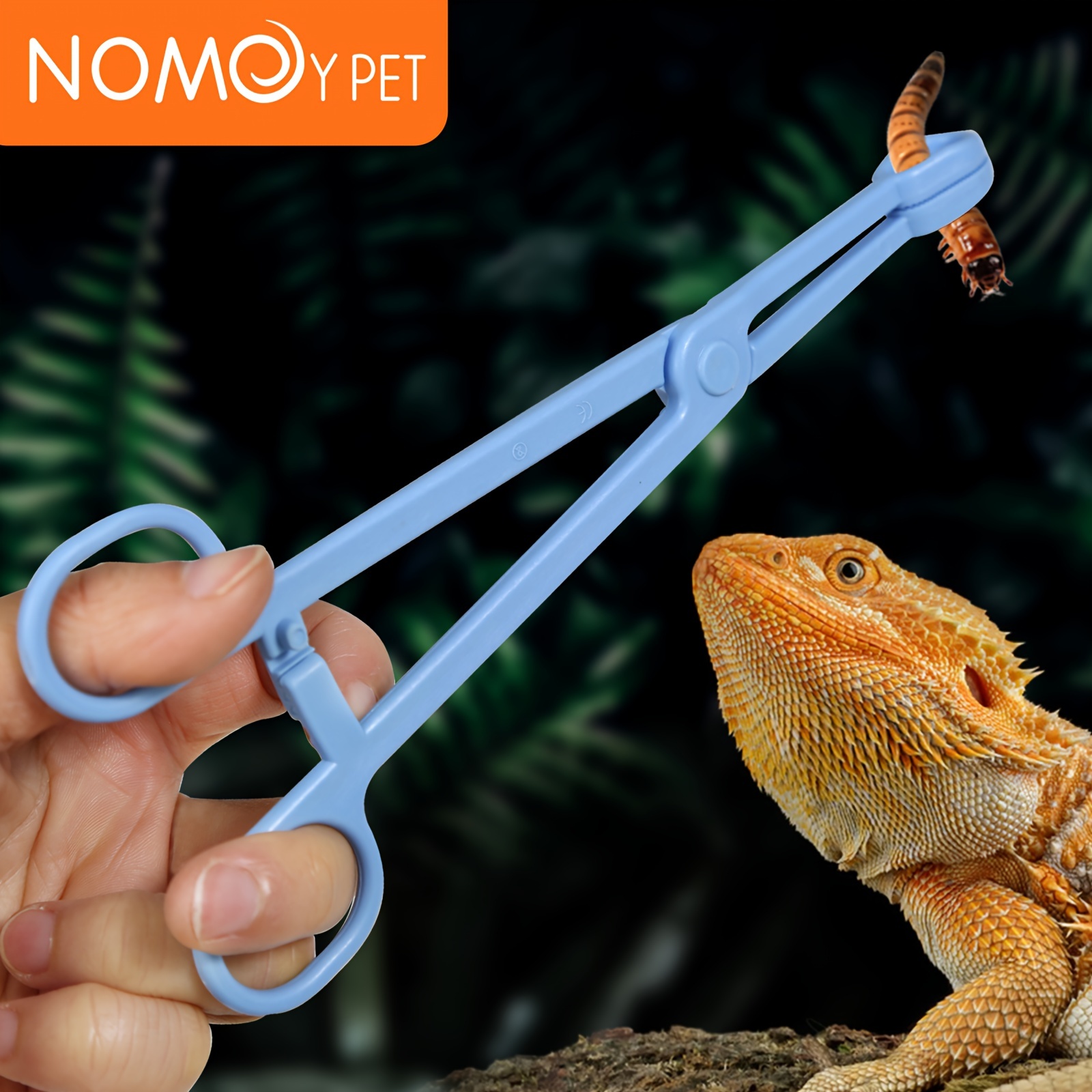 5-Piece Reptile Feeding Tool Bug Clamp Cricket Tongs Anti-Escape Worm Dish  with Tweezers for Aquariums Snakes Gecko - AliExpress