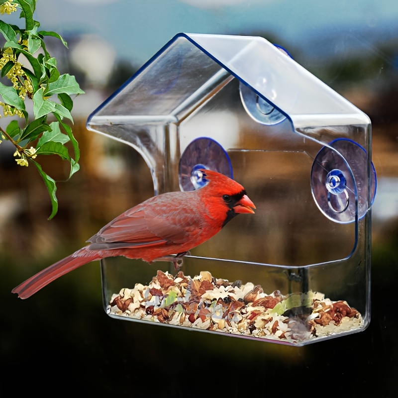Mangeoire à oiseaux pour fenêtre avec 3 ventouses puissantes