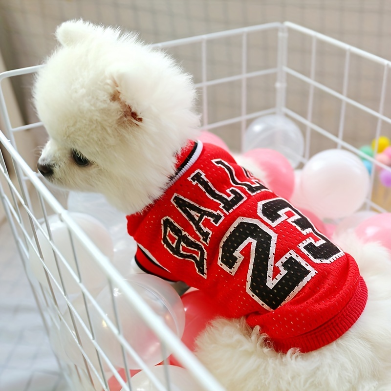  Sweater Cute Cartoon Cat Clothes Autumn and Winter Puppy Dog  Two-Legged Pet Clothing Corgi Designer Dog Clothes A4 S : Pet Supplies