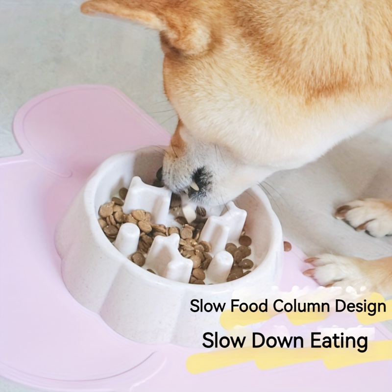 Dog bowl to on sale slow down drinking