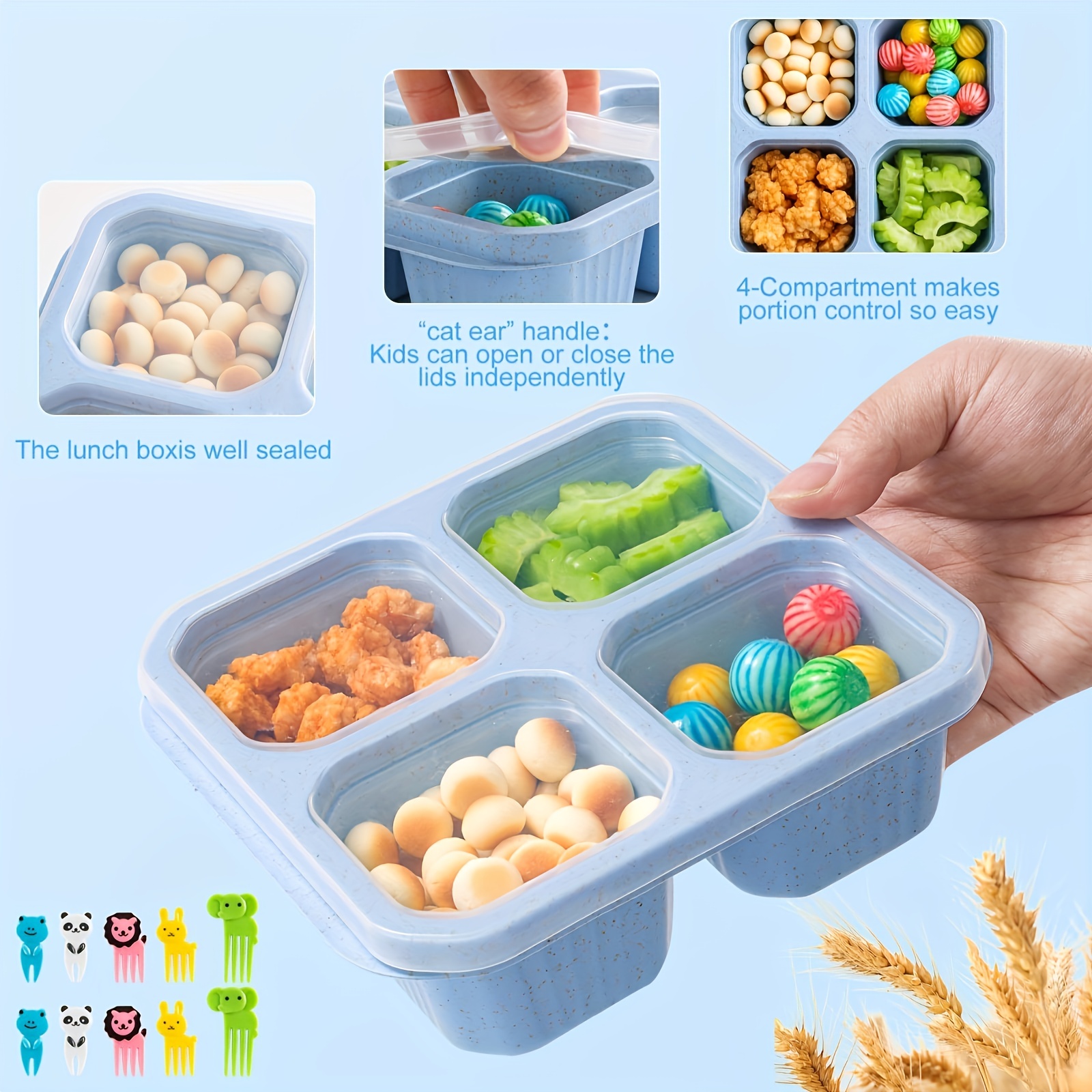 Four grid Snack Containers divided Bento Lunch Box - Temu