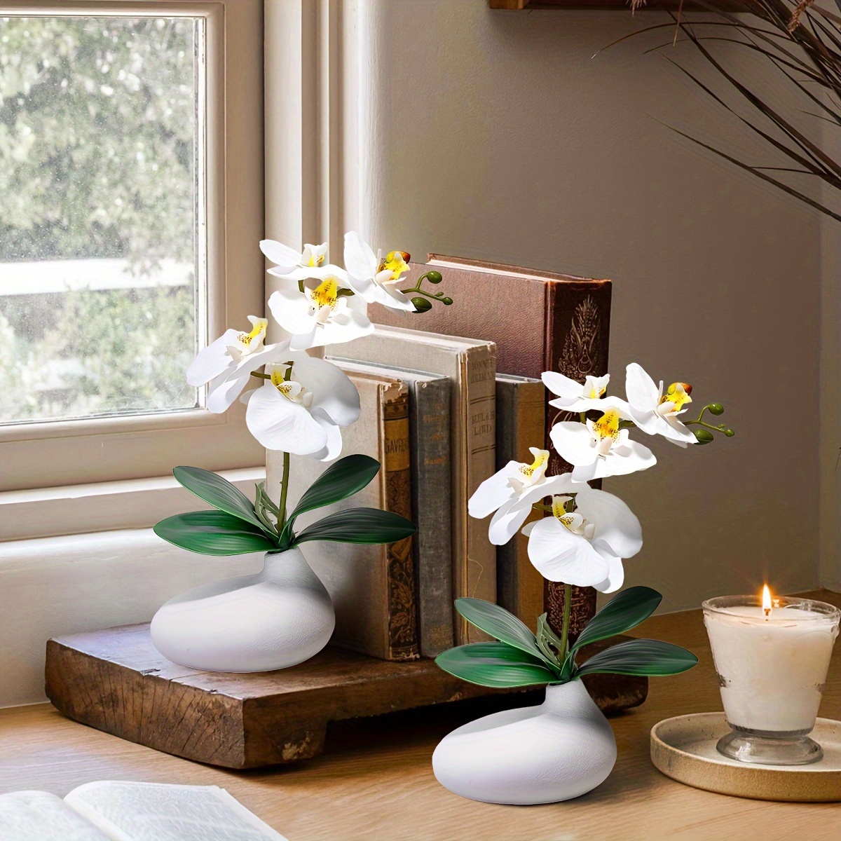 Vaso per orchidee trasparente 34,5 x 15 x 15 cm CAS35 E1