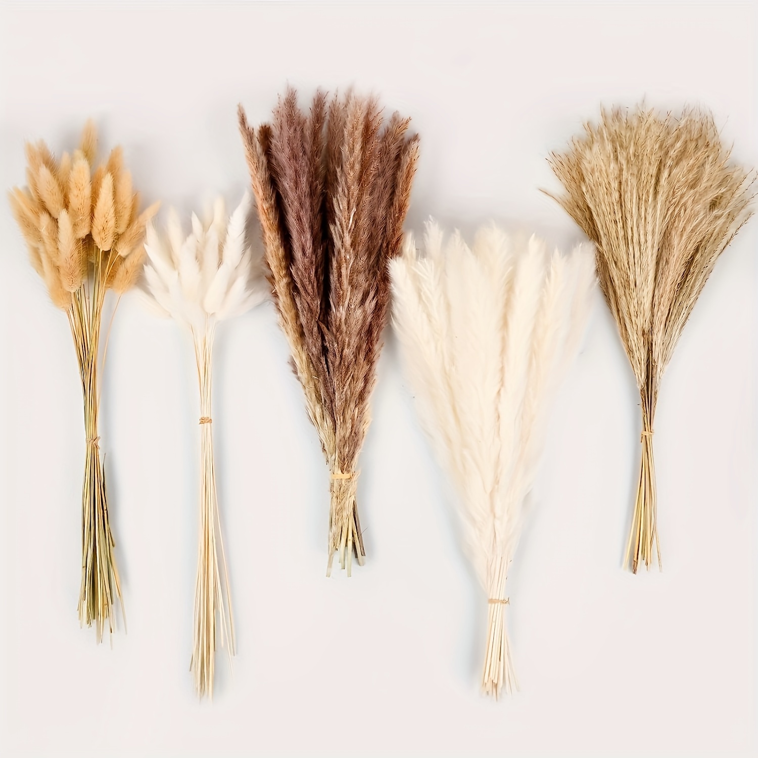 20pcs Dried plants pampas grass . Use to decorate your home or as a de –  Tollo shop