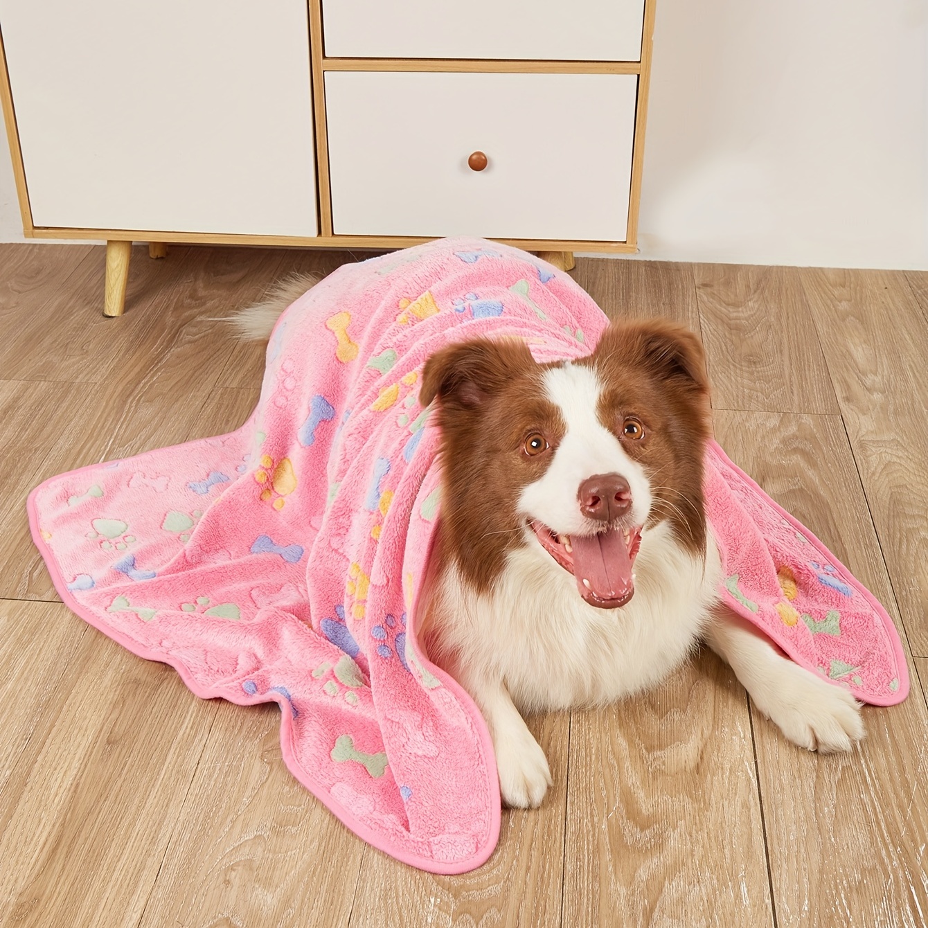 fleece dog blanket small dogs warm cozy coral Temu New Zealand