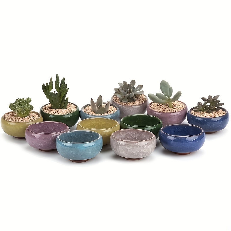 Succulent Mini Scoop – Talisman Designs